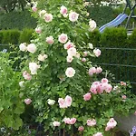 Maria Waldblick 95 Qm, Burtenbach