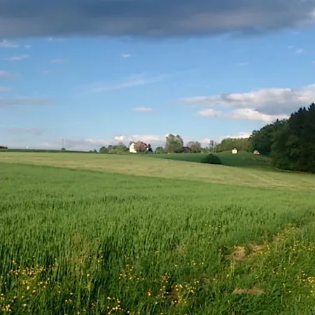 Ferienwohnung Maria Waldblick 95 Qm, Daire Burtenbach
