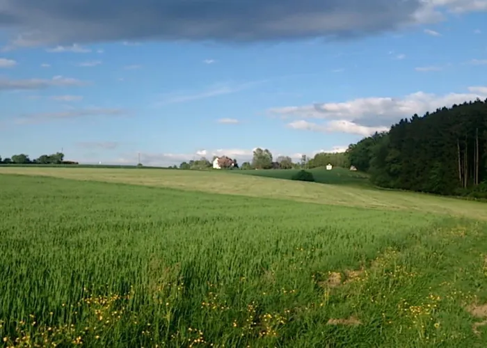 Maria Waldblick 95 Qm, 公寓 Burtenbach