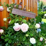 Maria Waldblick 95 Qm, Apartamento Burtenbach