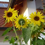 Apartamento Maria Waldblick 95 Qm, Burtenbach