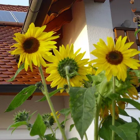 Apartman Maria Waldblick 95 Qm, Burtenbach
