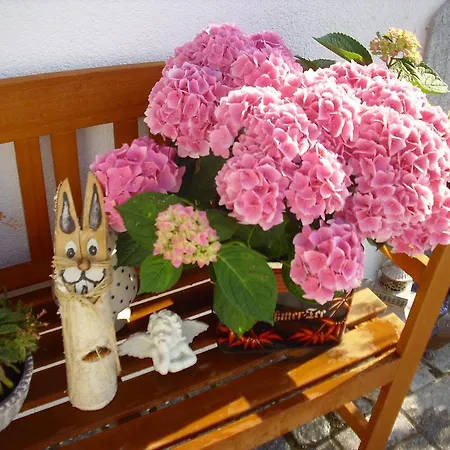 Apartman Maria Waldblick 95 Qm,